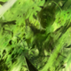 Illustration for article titled The Concept Art Behind iGame Of Thrones: Season 6/i